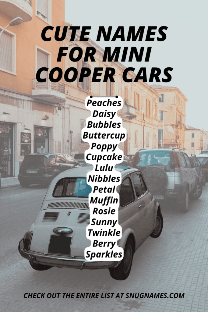 Cute Names for Mini Cooper Cars