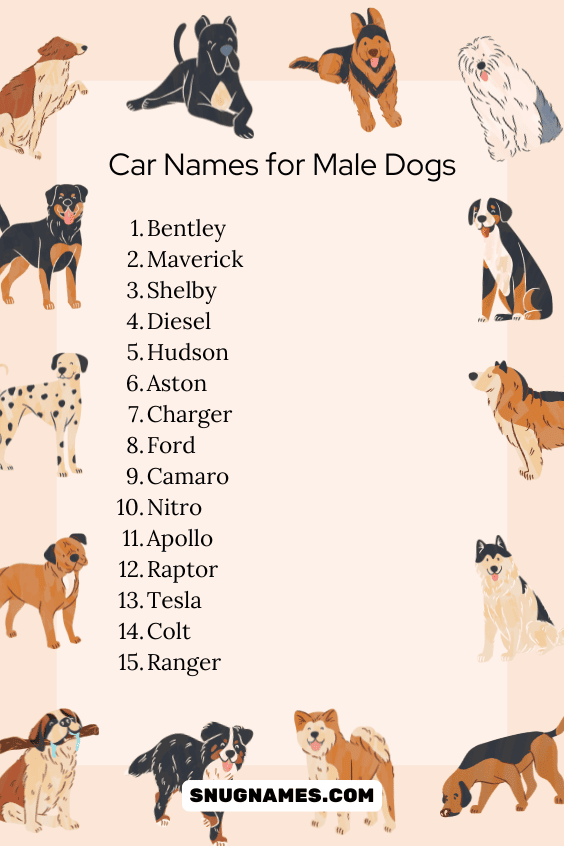 Car Names for Male Dogs