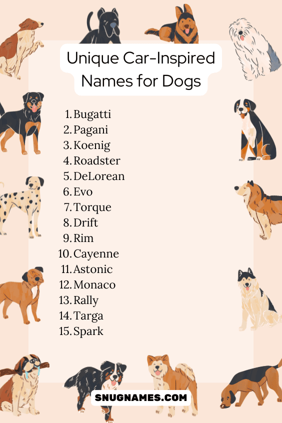 Unique Car-Inspired Names for Dogs