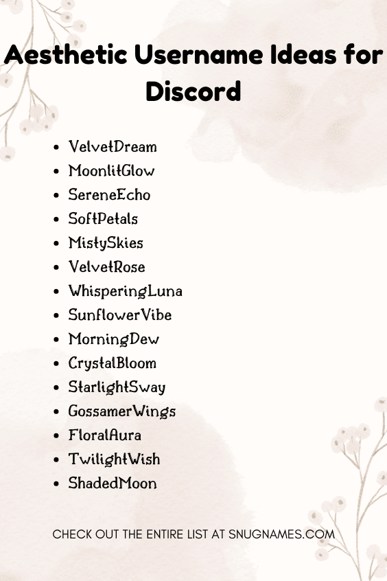 Aesthetic Username Ideas for Discord