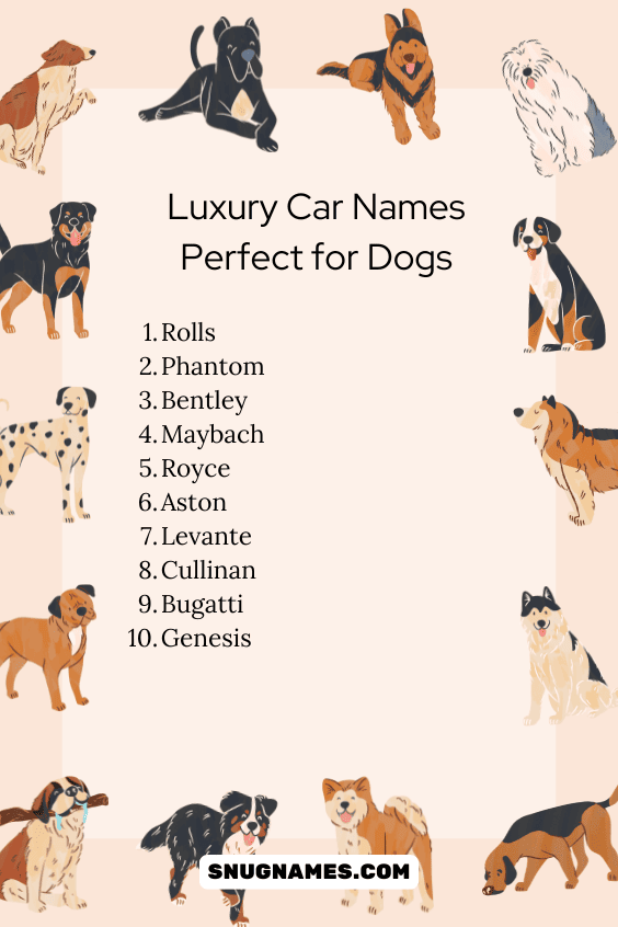 Luxury Car Names Perfect for Dogs