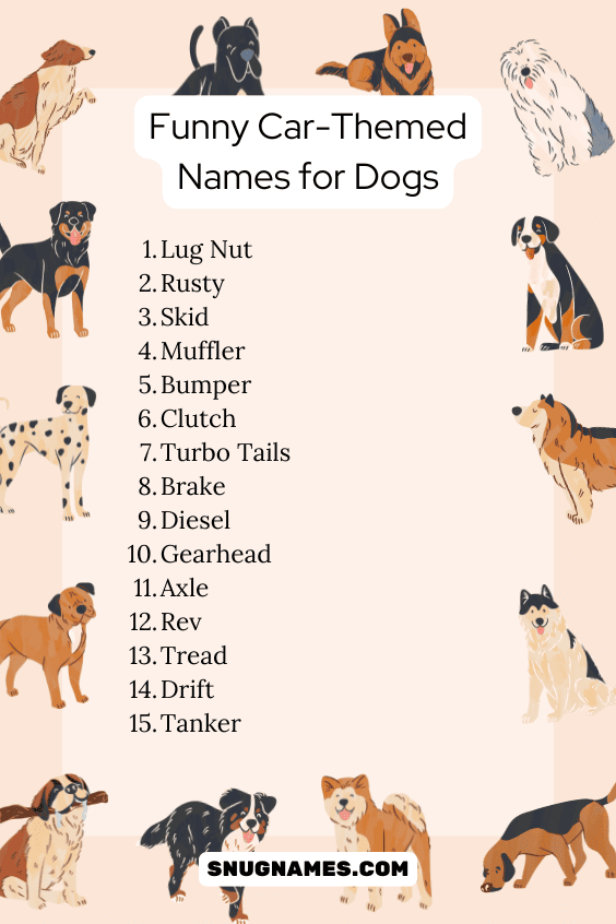 Funny Car-Themed Names for Dogs