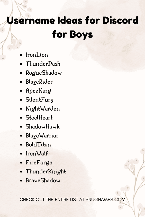 Username Ideas for Discord for Boys