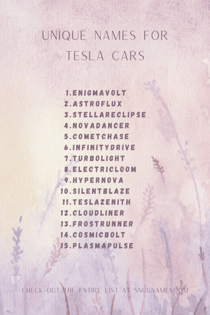 Unique Names for Tesla Cars