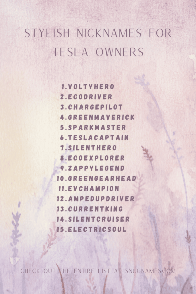 Stylish Nicknames for Tesla Owners