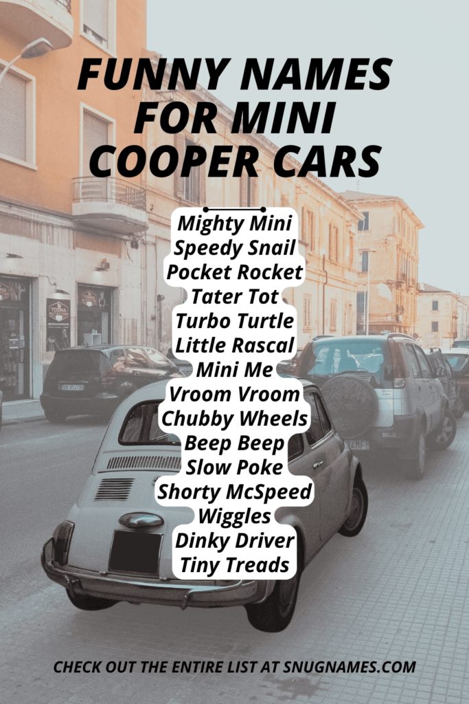 Funny Names for Mini Cooper Cars