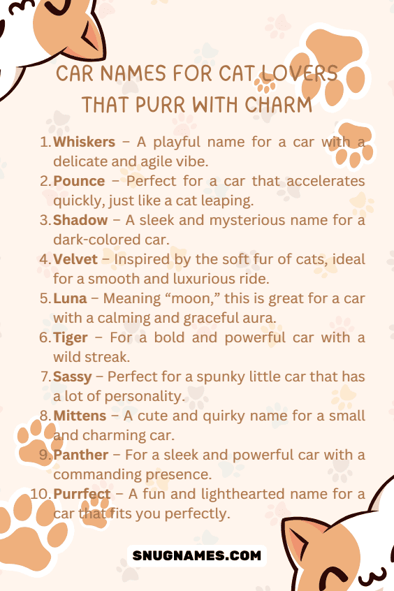 Car Names for Cat Lovers That Purr with Charm