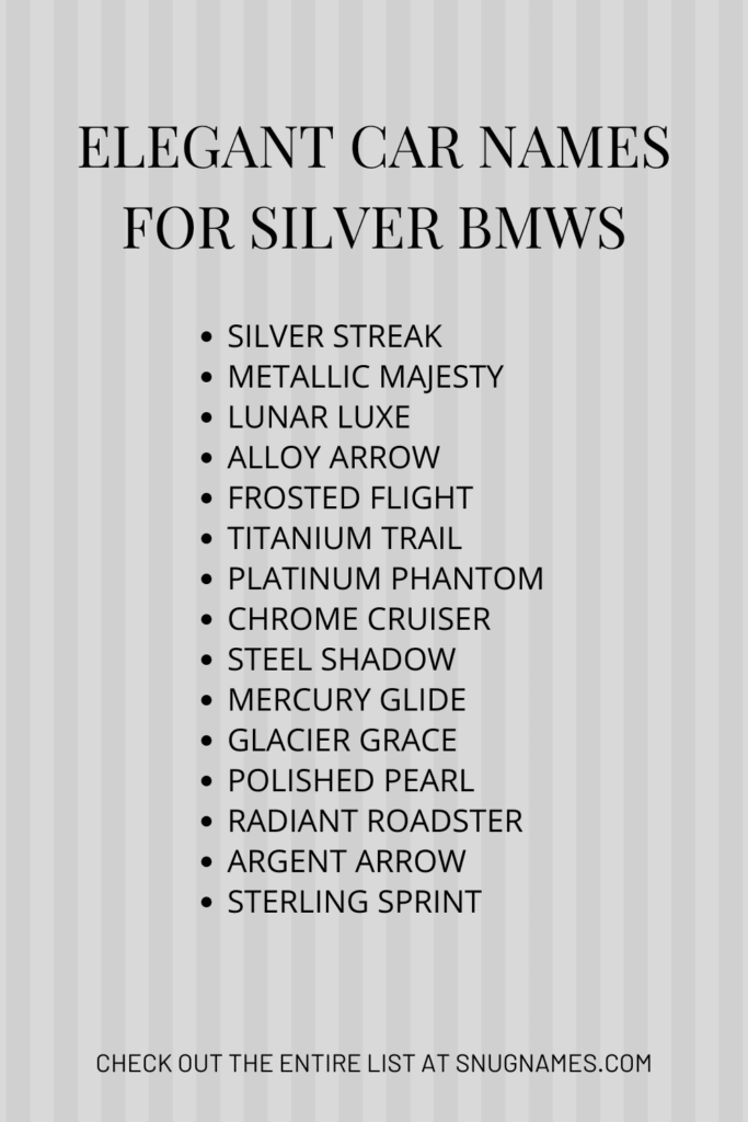 Elegant Car Names for Silver BMWs