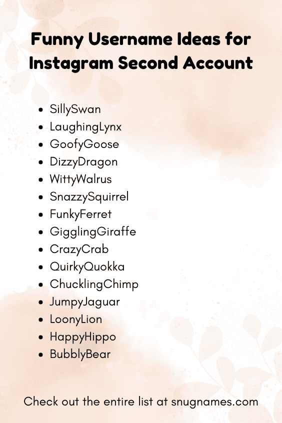 Funny Username Ideas for Instagram Second Account