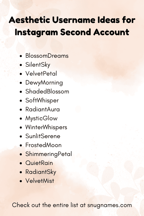 Aesthetic Username Ideas for Instagram Second Account