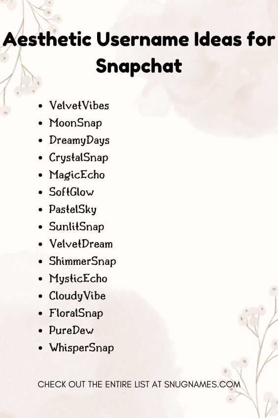 Aesthetic Username Ideas for Snapchat