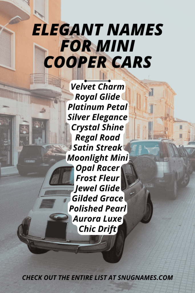 Elegant Names for Mini Cooper Cars