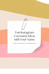 Fun Instagram Username Ideas with Your Name