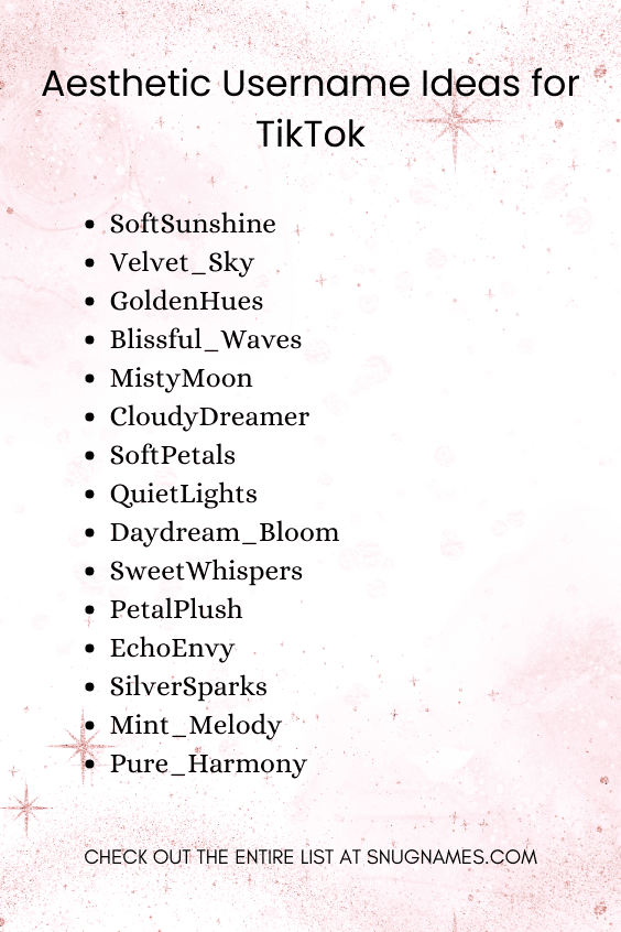 Aesthetic Username Ideas for TikTok