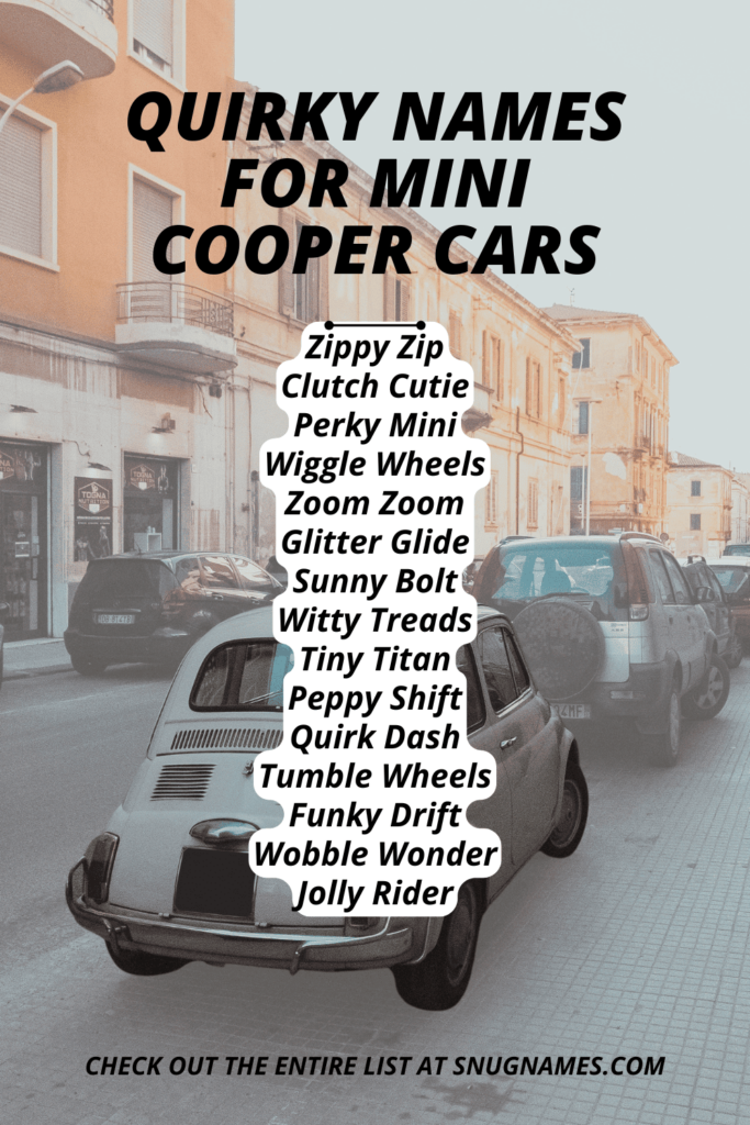 Quirky Names for Mini Cooper Cars