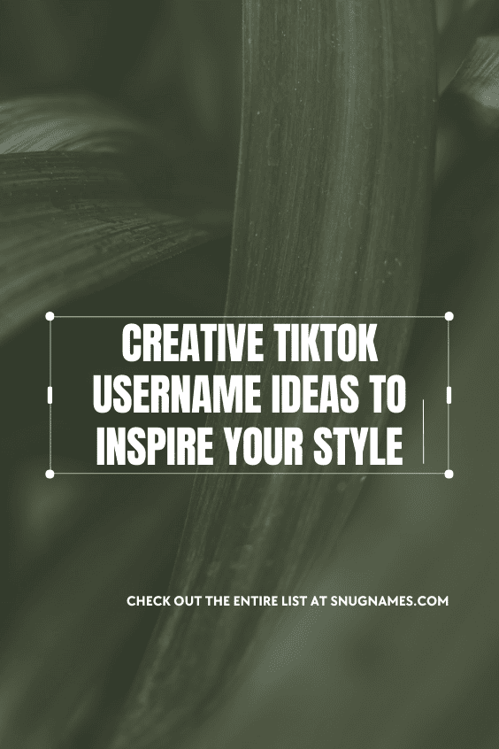 Creative TikTok Username Ideas to Inspire Your Style