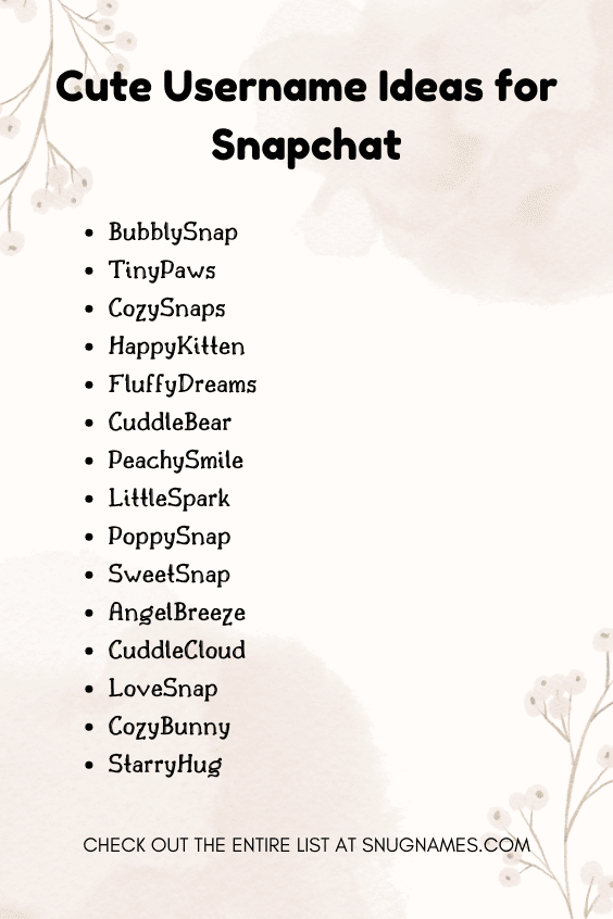 Cute Username Ideas for Snapchat