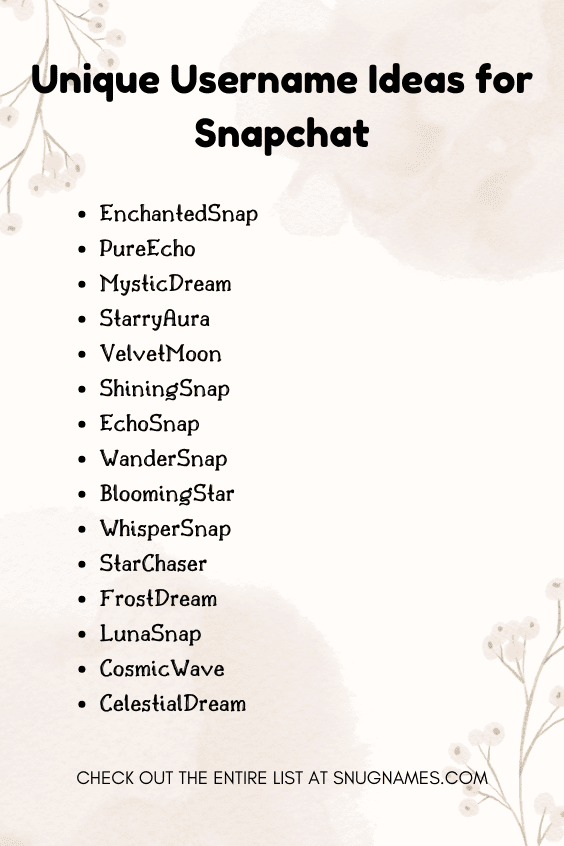 Unique Username Ideas for Snapchat