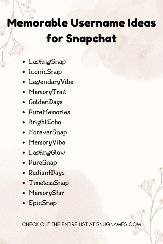 Memorable Username Ideas for Snapchat