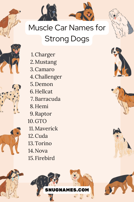 Muscle Car Names for Strong Dogs