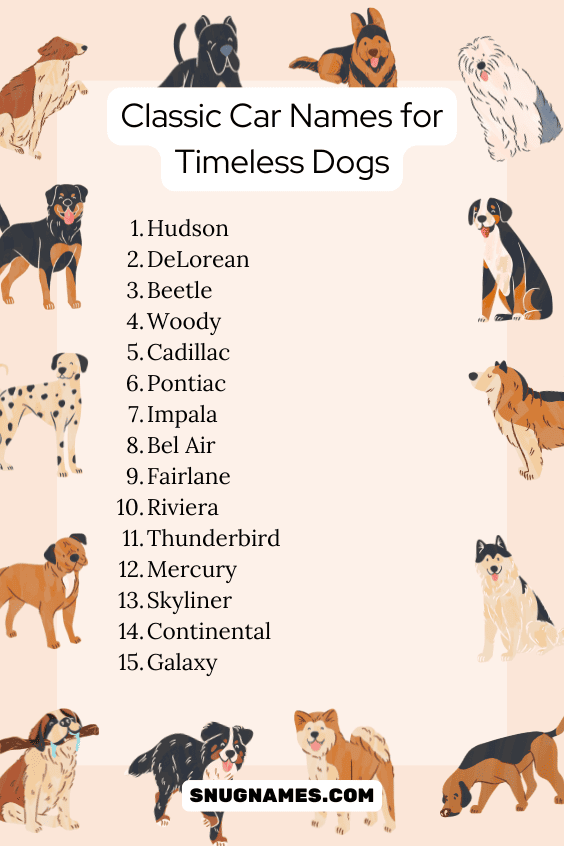 Classic Car Names for Timeless Dogs