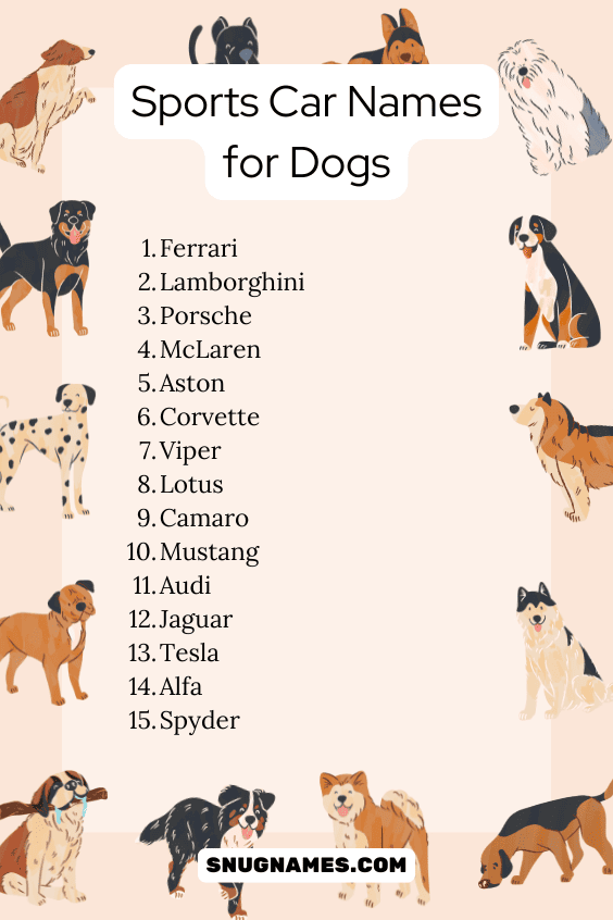 Sports Car Names for Dogs