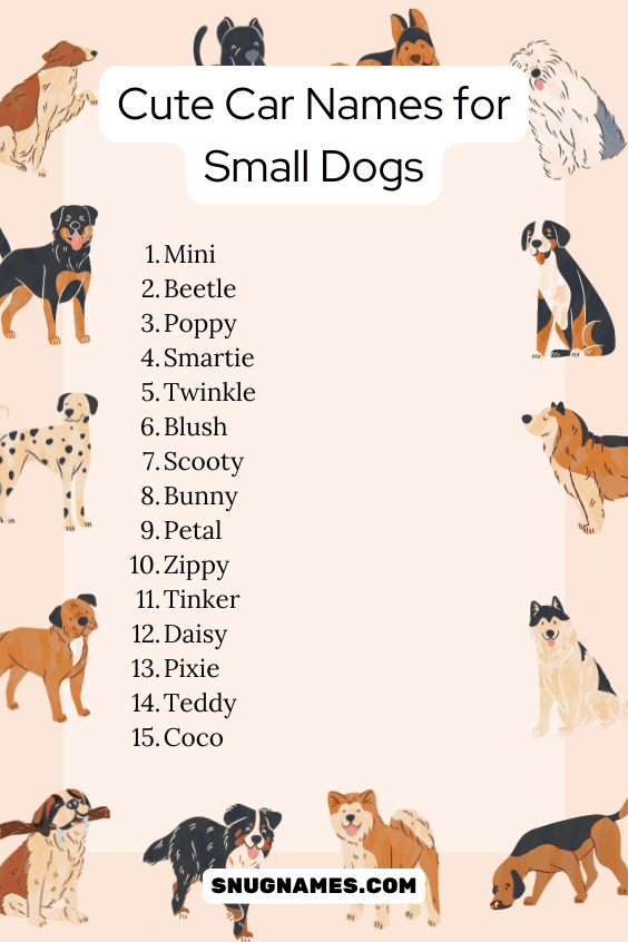 Cute Car Names for Small Dogs