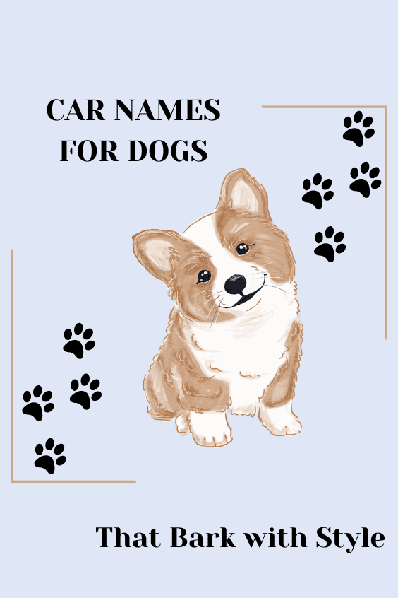 Car Names for Dogs That Bark with Style